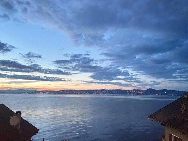 Bord De Lac,2 Chambres Superbe Vue Lac 5Mn Evian 吕格兰 外观 照片